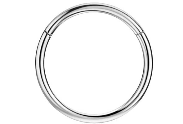 316L Surgical Steel Hinged Nose Rings Hoop for Nostril Septum Cartilage Helix Daith Tragus